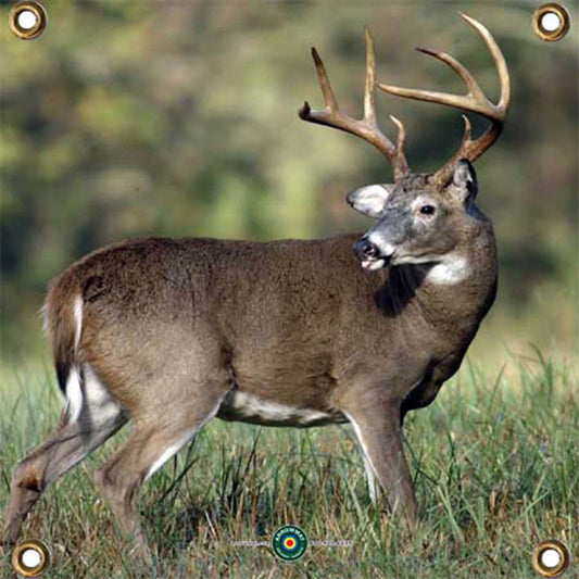 Arrow Mat Targets Big Buck