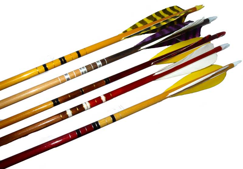 Lna Bison Elite Arrows