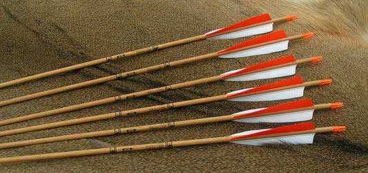 Gold Tip Traditional Arrows